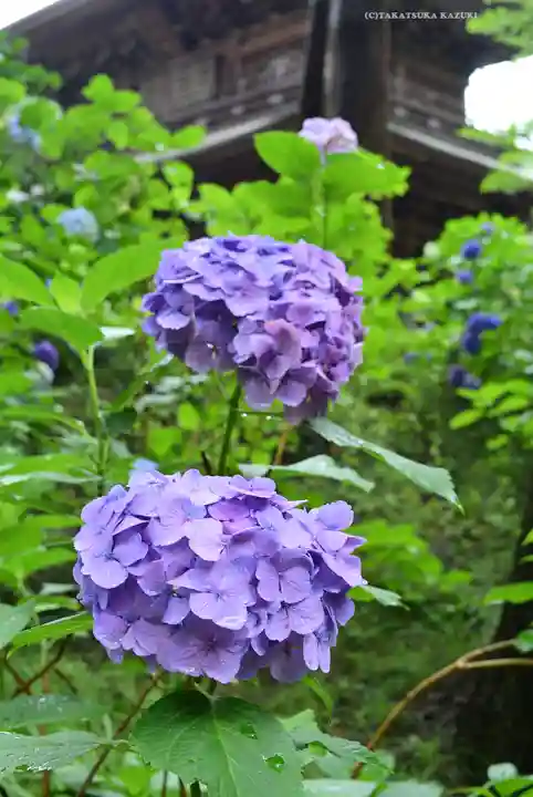 円覚寺(神奈川県)