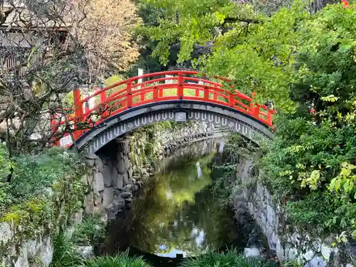 賀茂御祖神社（下鴨神社）の景色