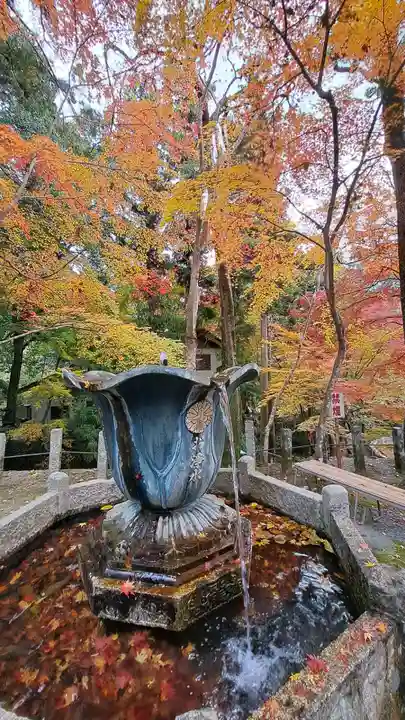 神峯山寺(大阪府)