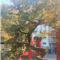 彌彦神社 (伊夜日子神社)の自然