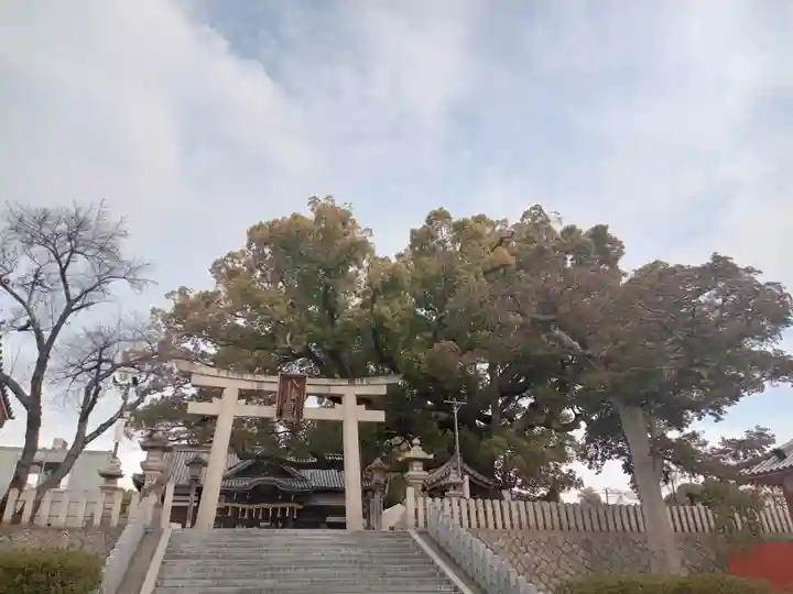 百舌鳥八幡宮(大阪府)