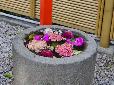 蛇窪神社(東京都)