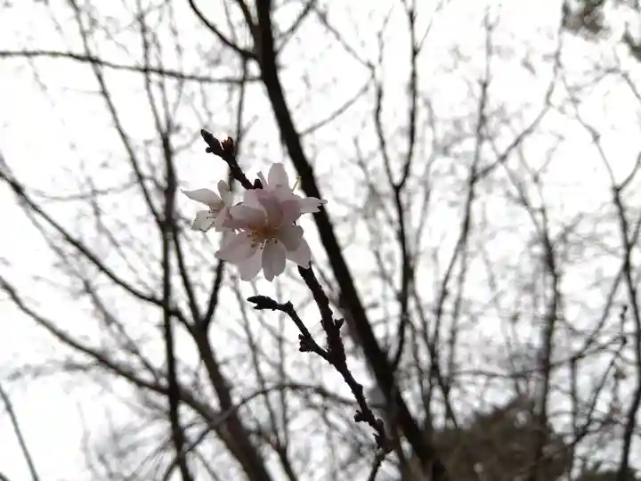 本長寺(石川県)