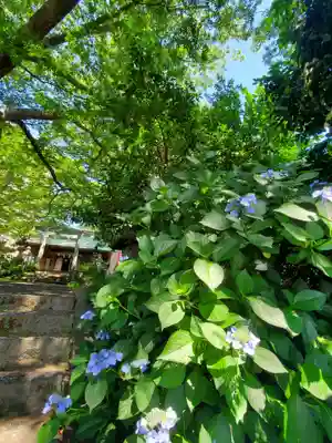 愛宕神社(福島県)