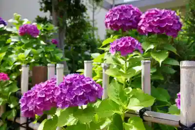 福王山  慈眼寺(東京都)