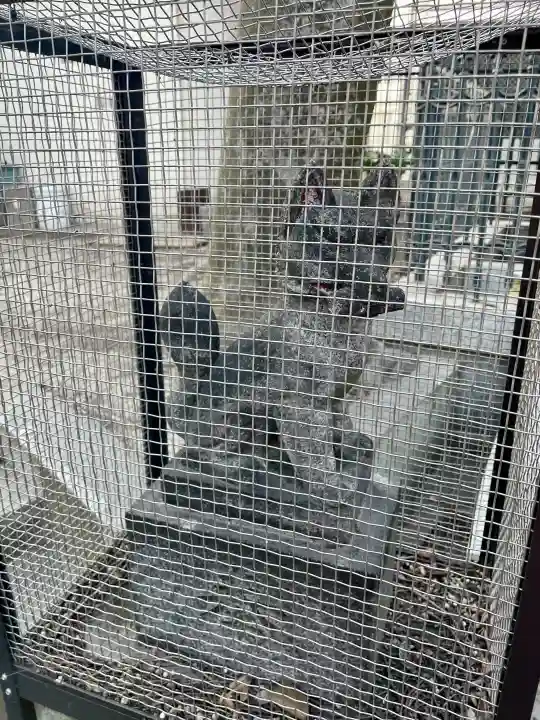 女塚神社の{uncategorized: "未分類", other: "その他", undefined: "問題あり", building: "その他建物", grave: "お墓", sacred_gate: "鳥居", guardian: "狛犬", statue: "像", buddha: "仏像", history: "歴史", nature: "自然", garden: "庭園", animal: "動物", pagoda: "塔", temizu: "手水舎", mountain_gate: "山門・神門", sanctuary: "本殿・本堂", subordinate: "末社・摂社", art: "芸術", scenery: "景色", jizo: "地蔵", ema: "絵馬", goshuin: "御朱印", omikuji: "おみくじ", items: "授与品その他", amulet: "お守り", goshuincho: "御朱印帳", eats: "食事", festival: "お祭り", votive_dance: "神楽", shichigosan: "七五三参", wedding: "結婚式", experience: "体験その他", initially: "初詣", around: "周辺", anti_infection: "感染症対策"}