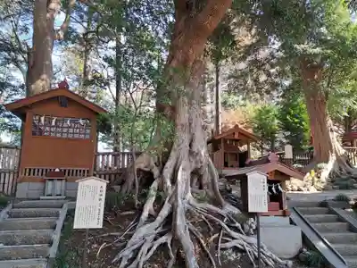 塚崎神明社(千葉県)