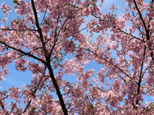 畑子安神社の{uncategorized: "未分類", other: "その他", undefined: "問題あり", building: "その他建物", grave: "お墓", sacred_gate: "鳥居", guardian: "狛犬", statue: "像", buddha: "仏像", history: "歴史", nature: "自然", garden: "庭園", animal: "動物", pagoda: "塔", temizu: "手水舎", mountain_gate: "山門・神門", sanctuary: "本殿・本堂", subordinate: "末社・摂社", art: "芸術", scenery: "景色", jizo: "地蔵", ema: "絵馬", goshuin: "御朱印", omikuji: "おみくじ", items: "授与品その他", amulet: "お守り", goshuincho: "御朱印帳", eats: "食事", festival: "お祭り", votive_dance: "神楽", shichigosan: "七五三参", wedding: "結婚式", experience: "体験その他", initially: "初詣", around: "周辺", anti_infection: "感染症対策"}