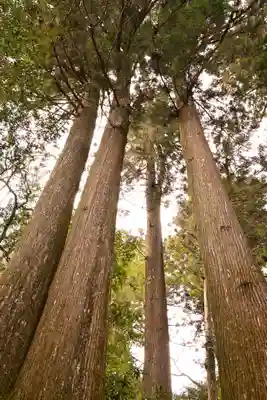 横倉宮(高知県)