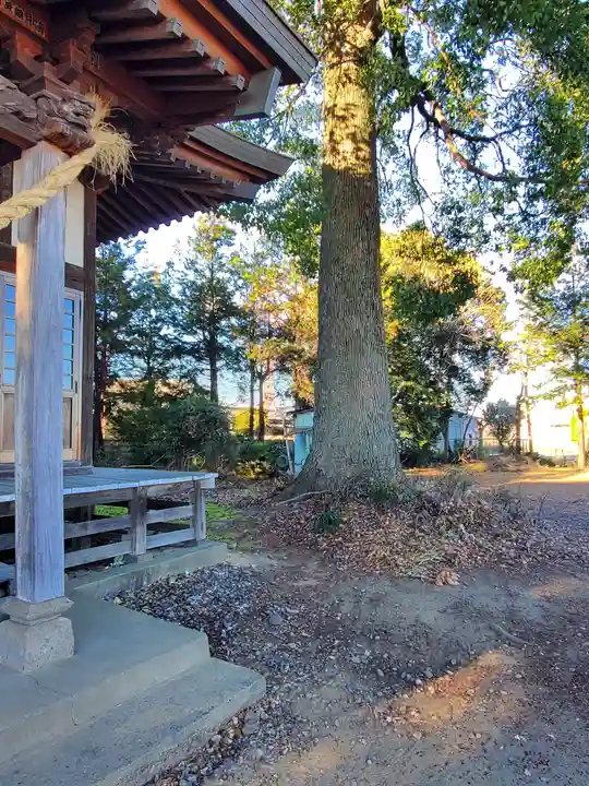 稲荷神社(栃木県)