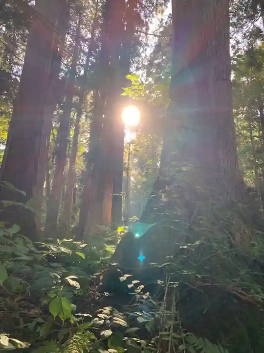 戸隠神社中社(長野県)