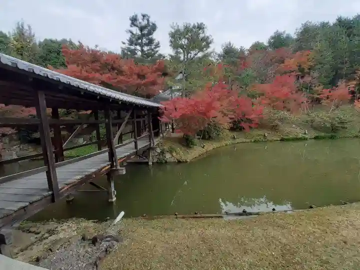 高台寺(高台寿聖禅寺・高臺寺)(京都府)