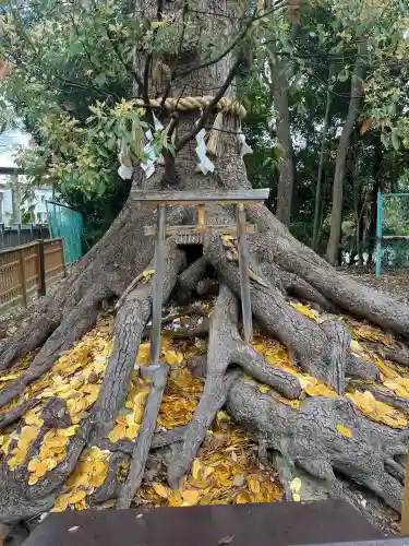 和泉國一之宮　大鳥大社の{uncategorized: "未分類", other: "その他", undefined: "問題あり", building: "その他建物", grave: "お墓", sacred_gate: "鳥居", guardian: "狛犬", statue: "像", buddha: "仏像", history: "歴史", nature: "自然", garden: "庭園", animal: "動物", pagoda: "塔", temizu: "手水舎", mountain_gate: "山門・神門", sanctuary: "本殿・本堂", subordinate: "末社・摂社", art: "芸術", scenery: "景色", jizo: "地蔵", ema: "絵馬", goshuin: "御朱印", omikuji: "おみくじ", items: "授与品その他", amulet: "お守り", goshuincho: "御朱印帳", eats: "食事", festival: "お祭り", votive_dance: "神楽", shichigosan: "七五三参", wedding: "結婚式", experience: "体験その他", initially: "初詣", around: "周辺", anti_infection: "感染症対策"}