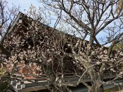 城南宮(京都府)