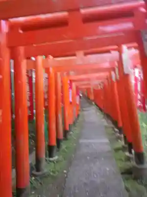 佐助稲荷神社の鳥居