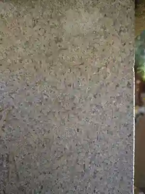 小岩神社(東京都)