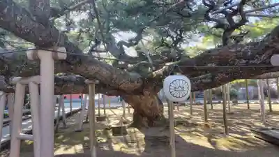 善養寺(東京都)