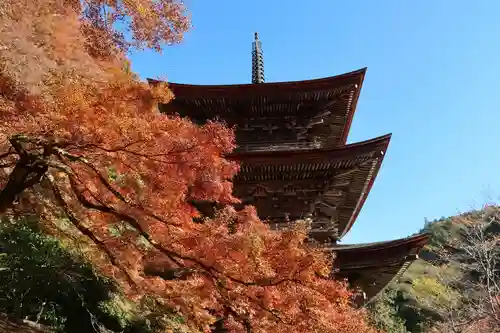 金剛院(京都府)