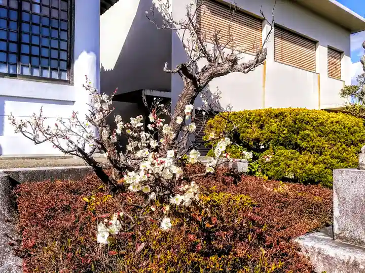 八幡社(大古根八幡社)の自然