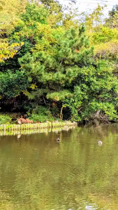 菊田神社の周辺