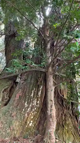 高岡神社(岡山県)