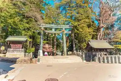 諏訪大社(長野県)