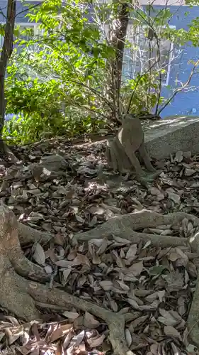 稲荷社（南笠2号墳内）(滋賀県)