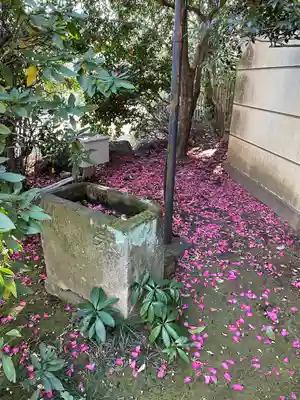 高円寺(東京都)