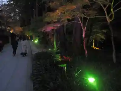 尊永寺(静岡県)