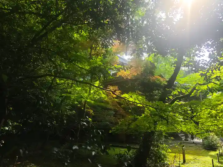葉山神社(京都府)