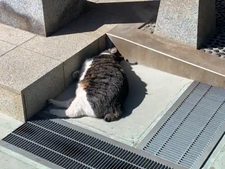 山梨縣護國神社の動物