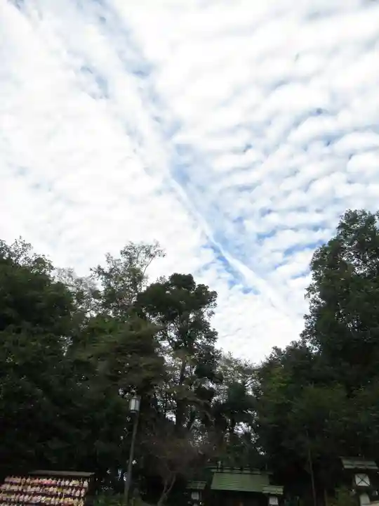 櫻木神社(千葉県)