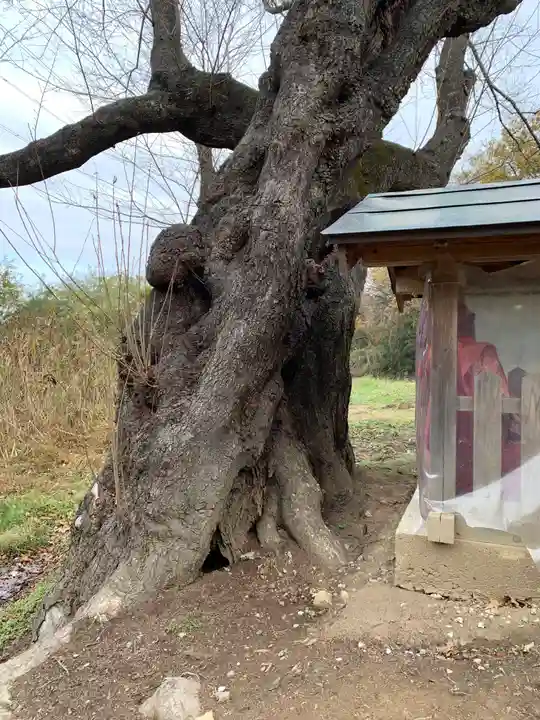 宇賀神さま(福島県)