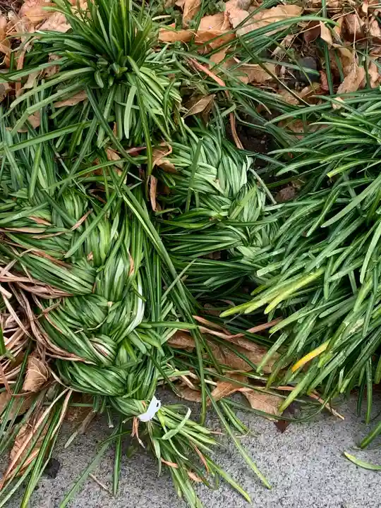 福泉寺(群馬県)