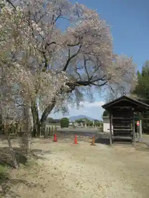 観音寺(茨城県)
