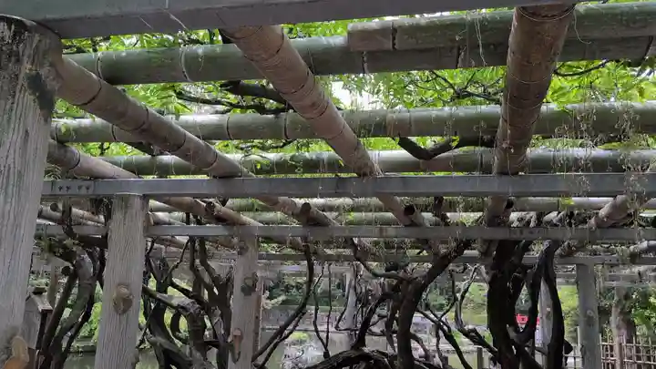越ヶ谷久伊豆神社(埼玉県)
