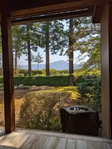 圓通寺(京都府)