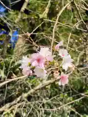 下野 星宮神社(栃木県)