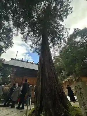 比沼麻奈為神社(京都府)
