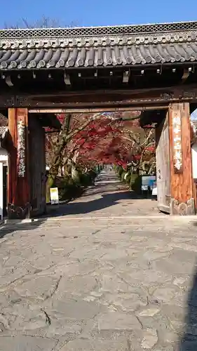 西教寺の山門