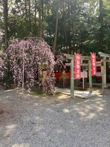 建部大社の鳥居