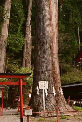 日光二荒山神社(栃木県)