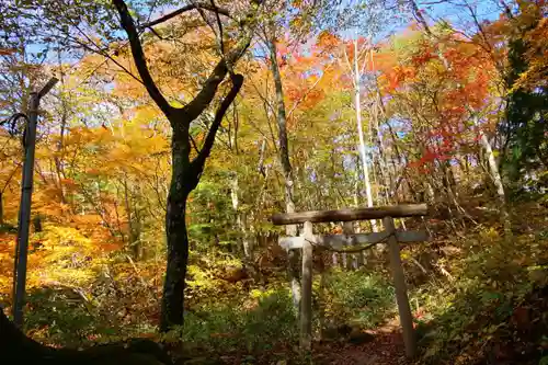 隠津島神社の鳥居