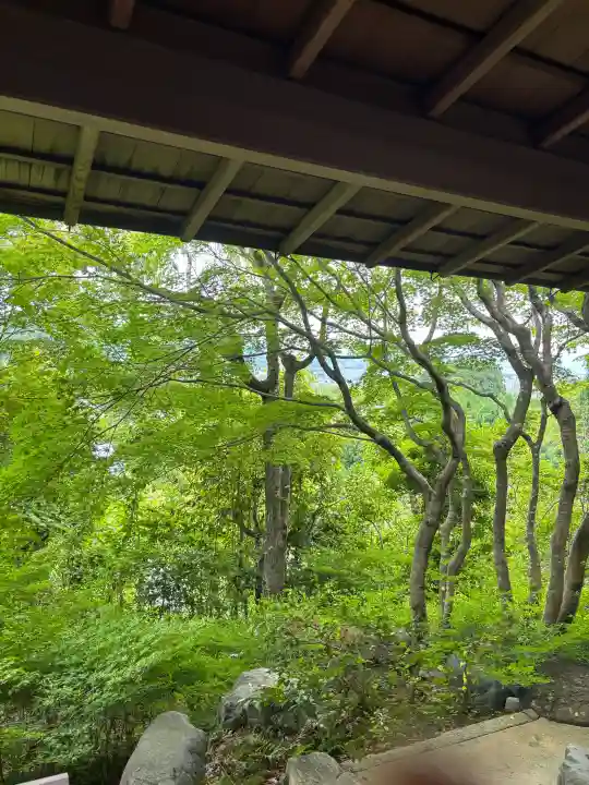 主乃雅神社(京都府)