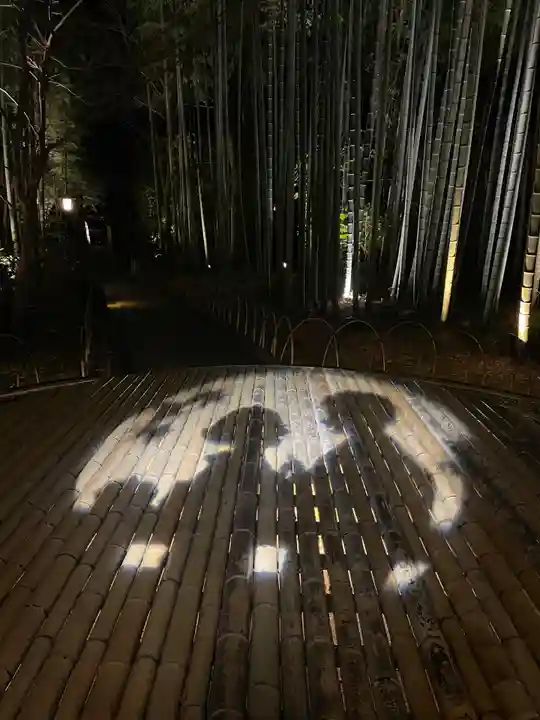 修禅寺(静岡県)