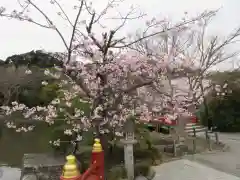 鶴岡八幡宮の自然