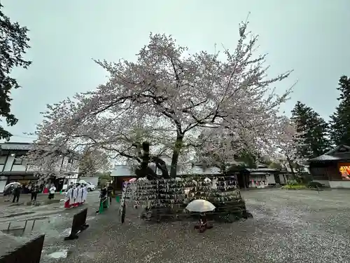 高麗神社の像