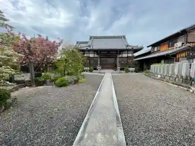 海蔵寺の{uncategorized: "未分類", other: "その他", undefined: "問題あり", building: "その他建物", grave: "お墓", sacred_gate: "鳥居", guardian: "狛犬", statue: "像", buddha: "仏像", history: "歴史", nature: "自然", garden: "庭園", animal: "動物", pagoda: "塔", temizu: "手水舎", mountain_gate: "山門・神門", sanctuary: "本殿・本堂", subordinate: "末社・摂社", art: "芸術", scenery: "景色", jizo: "地蔵", ema: "絵馬", goshuin: "御朱印", omikuji: "おみくじ", items: "授与品その他", amulet: "お守り", goshuincho: "御朱印帳", eats: "食事", festival: "お祭り", votive_dance: "神楽", shichigosan: "七五三参", wedding: "結婚式", experience: "体験その他", initially: "初詣", around: "周辺", anti_infection: "感染症対策"}