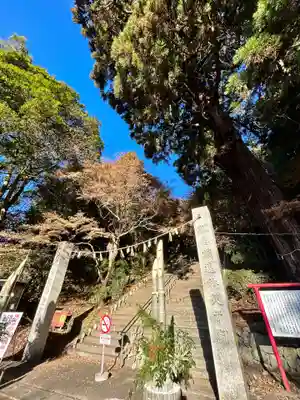柞原八幡宮(大分県)