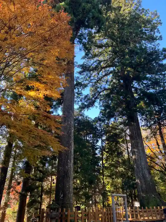 須山浅間神社のその他建物